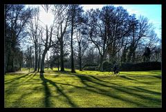 Parklandschaft mit Radfahrer