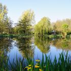 Parklandschaft mit Spiegelung