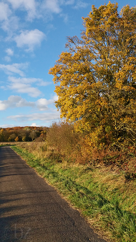 Parklandschaft Münsterland 3