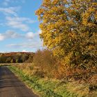 Parklandschaft Münsterland 3