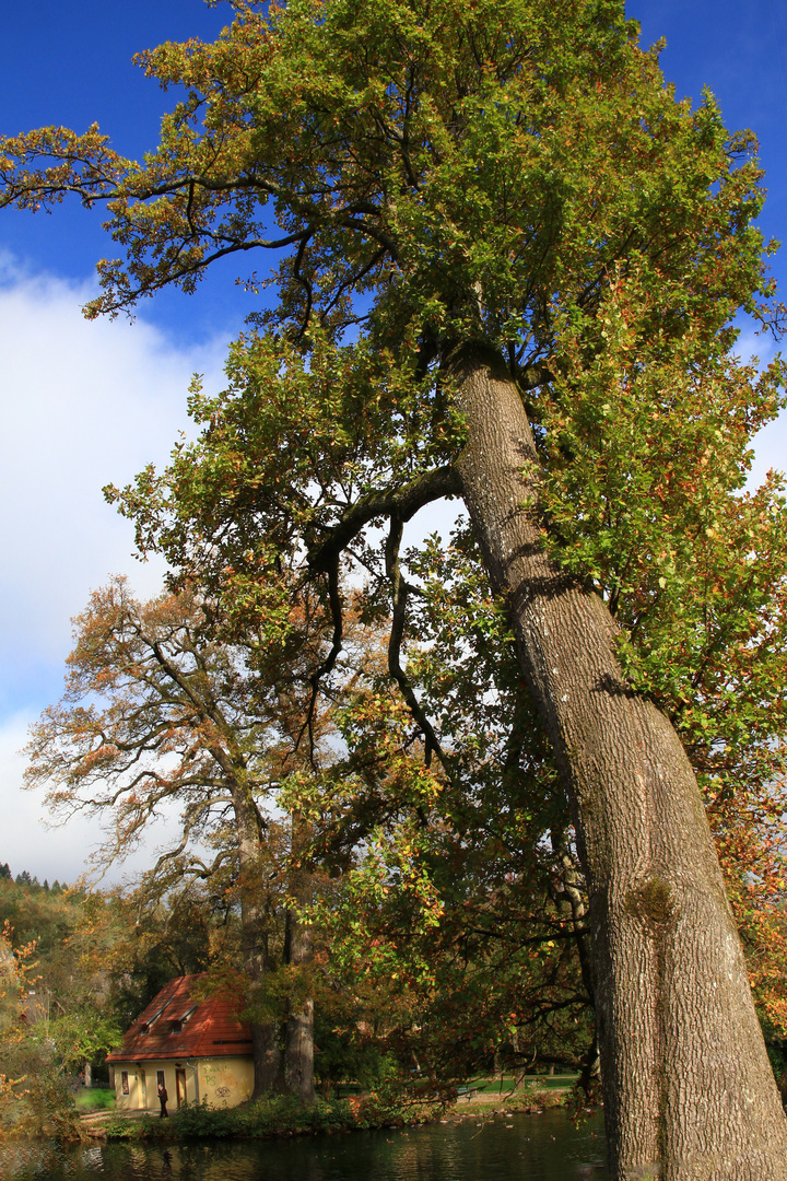 Parklandschaft um Stift Viktring bei Klagenfurt am Wörthersee