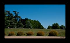 Parklandschaft von Polesden Lacey