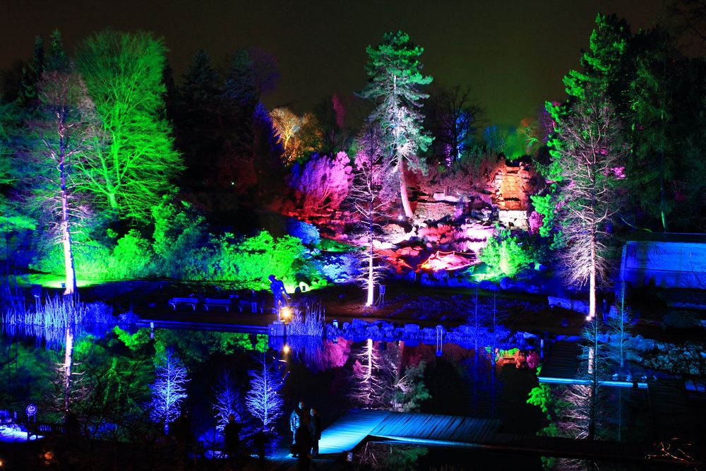 Parkleuchten 2016 in der Gruga 2 Foto & Bild landschaft, garten