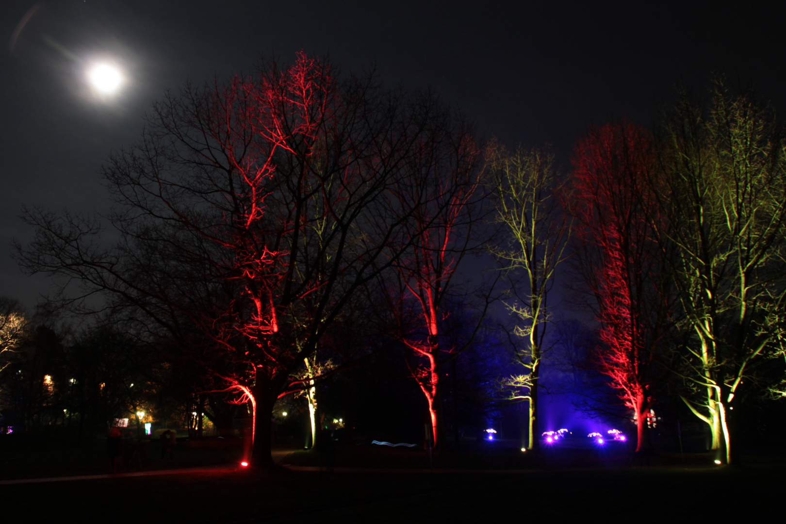 Parkleuchten Grugapark Essen 2014_4