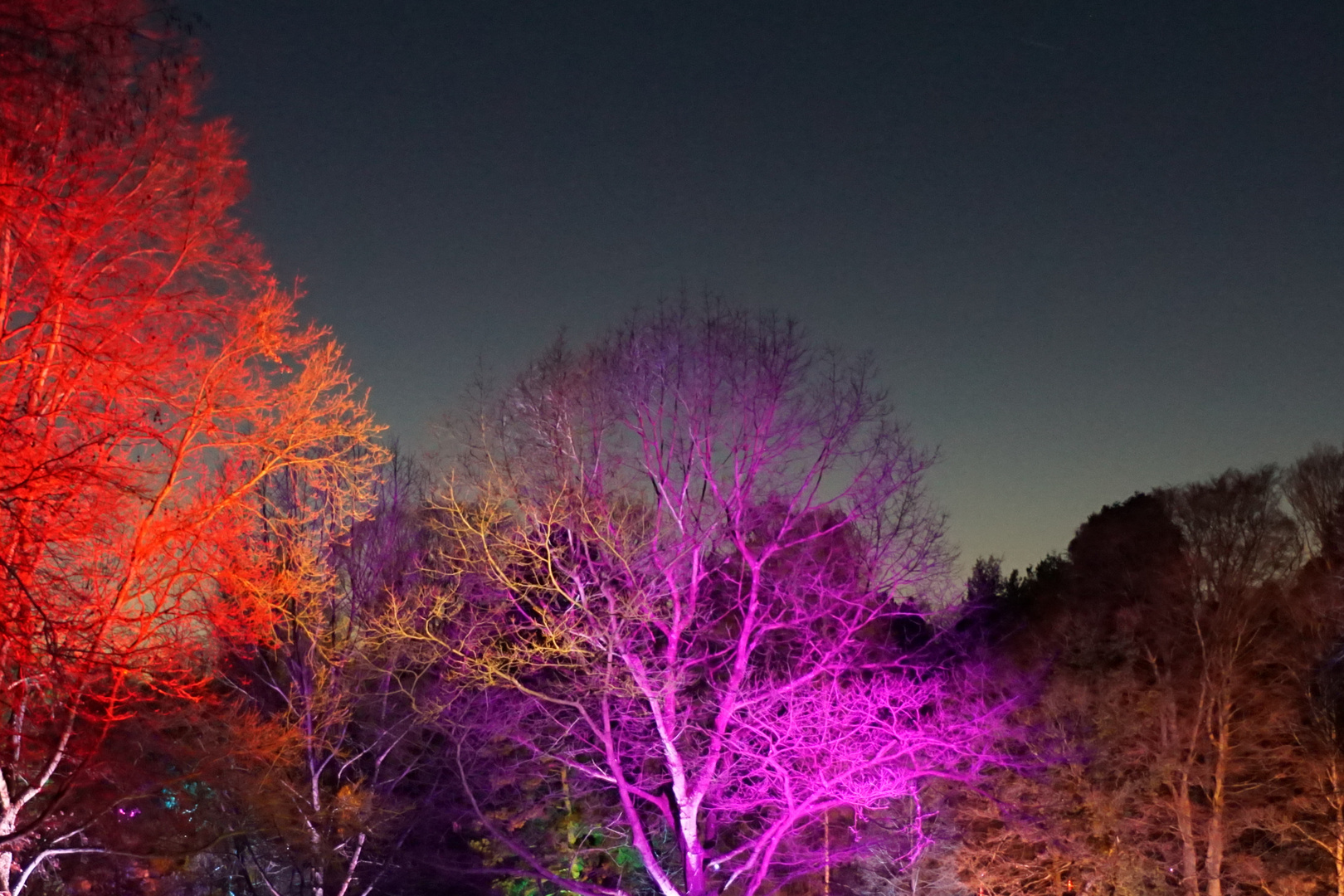 Parkleuchten GRUGAPARK Essen 2019 (2)