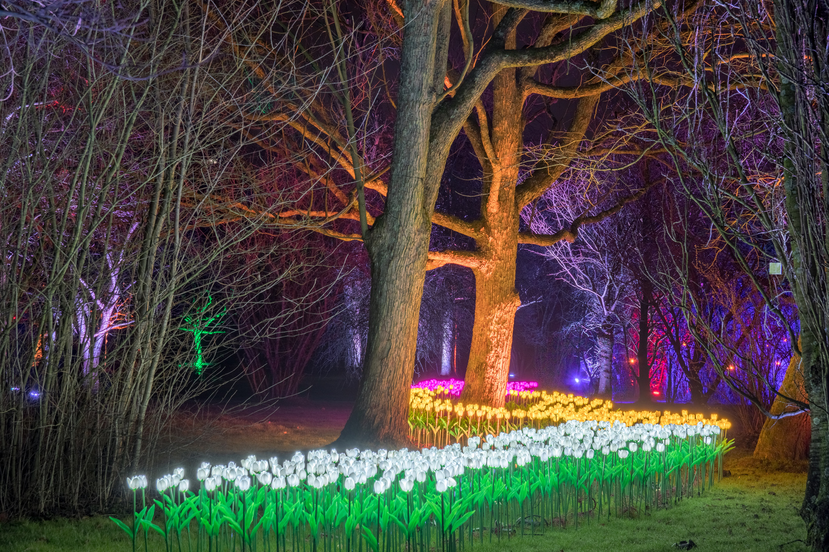 Parkleuchten Grugapark Essen 2024