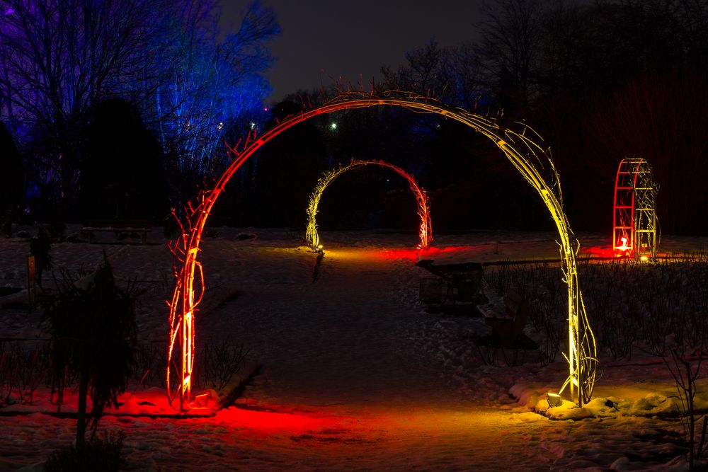 Parkleuchten im Grugapark 2