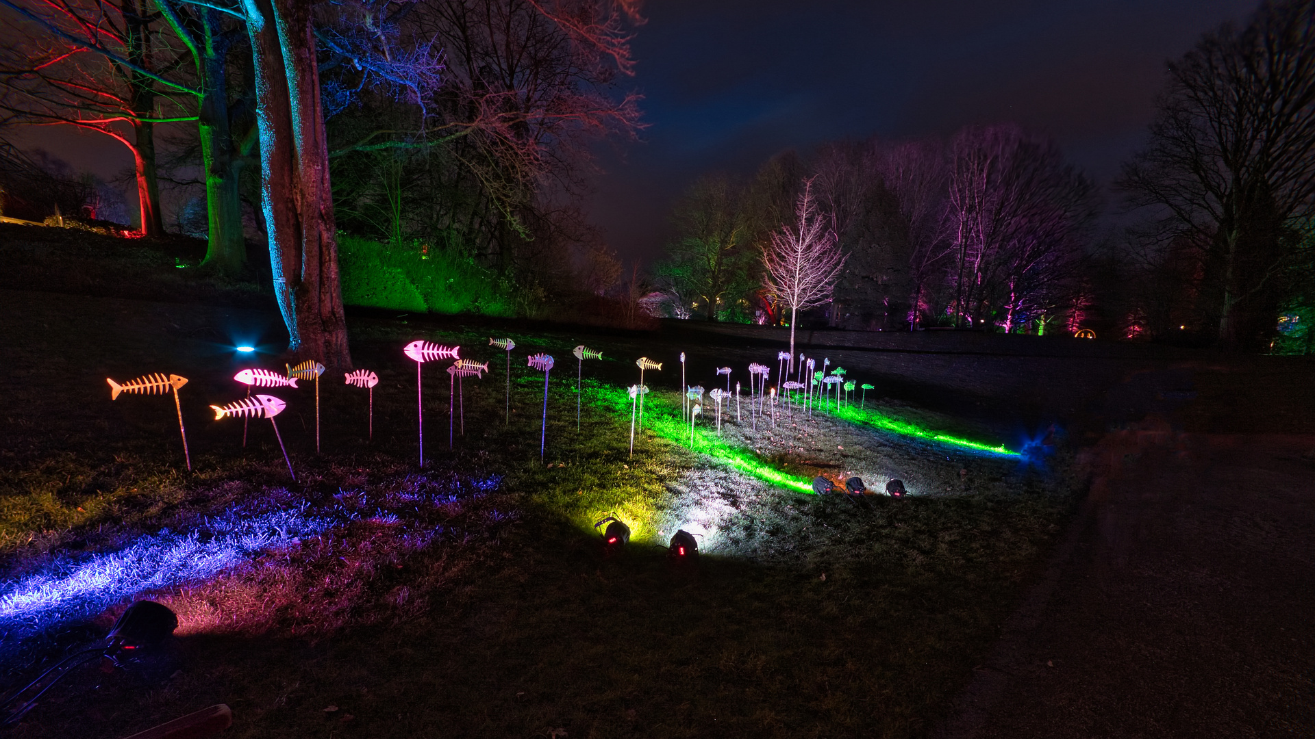 Parkleuchten im Grugapark 2024