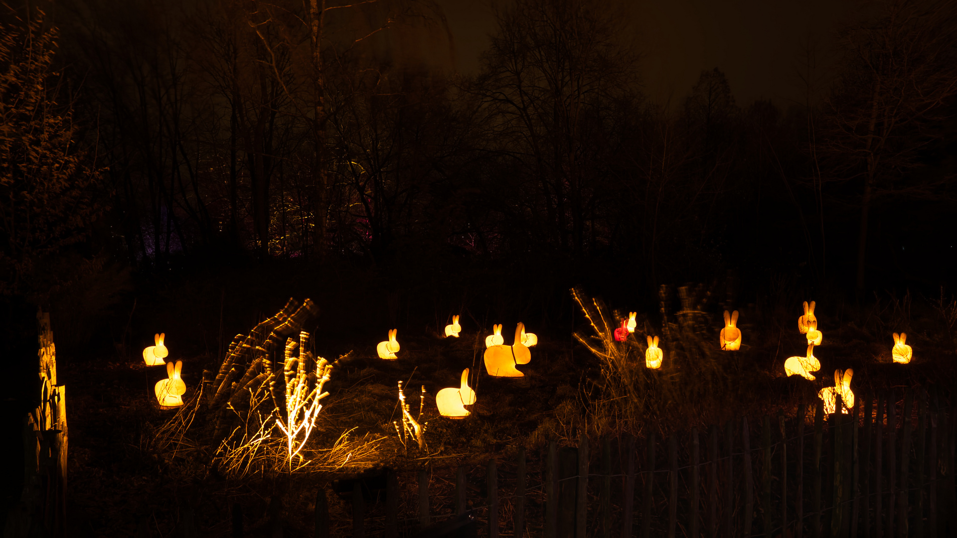 Parkleuchten im Grugapark 2024