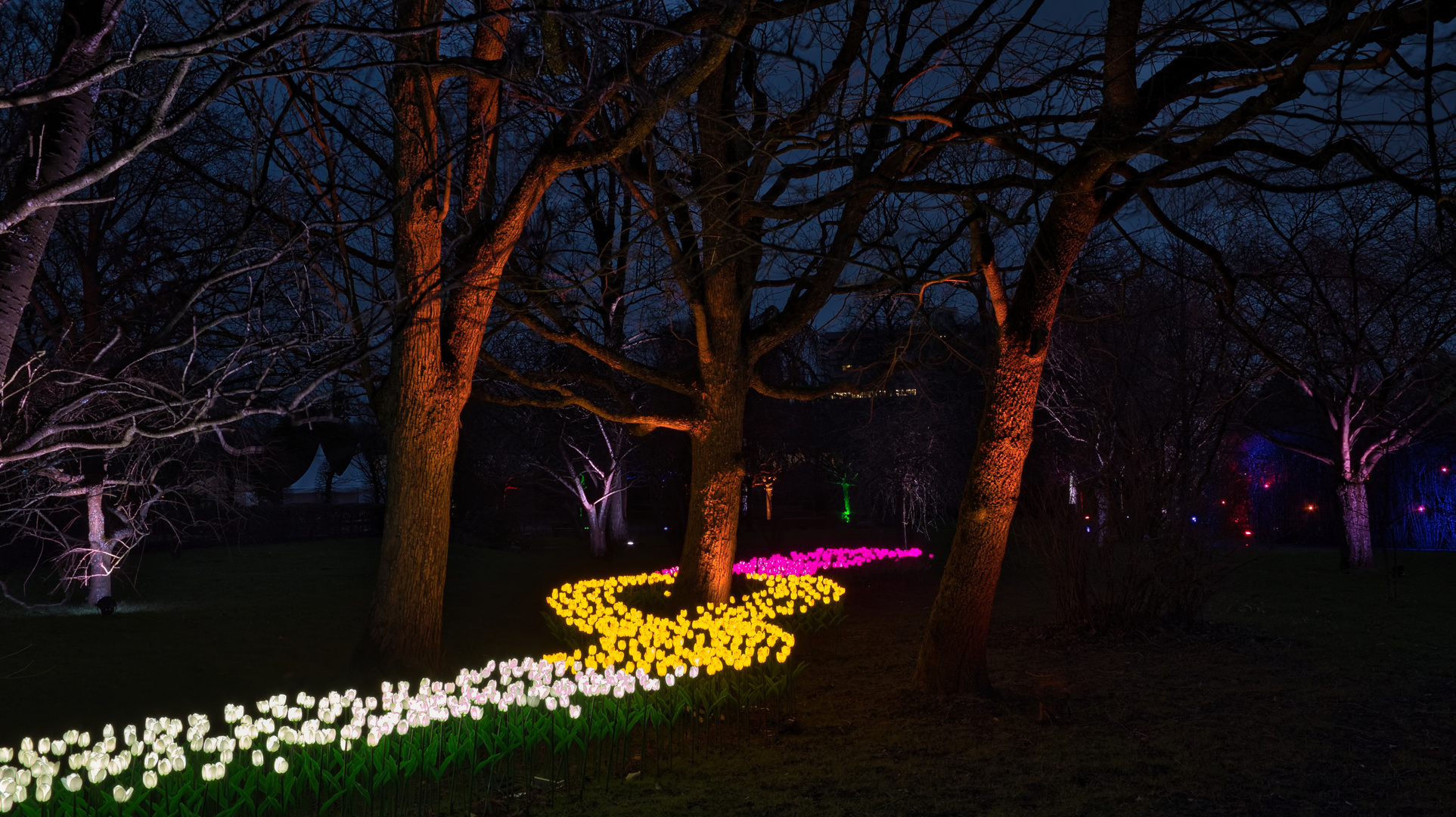 Parkleuchten im Grugapark 2024