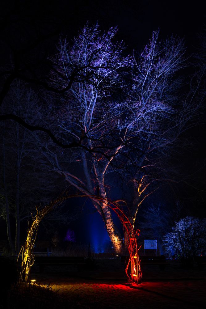 Parkleuchten im Grugapark