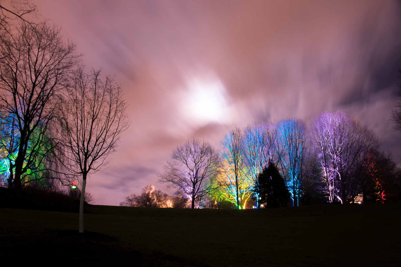 Parkleuchten im Grugapark Essen 2015