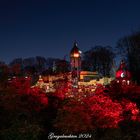 Parkleuchten im Grugapark Essen 