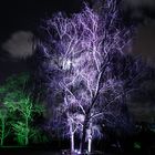 Parkleuchten im Grugapark Essen 