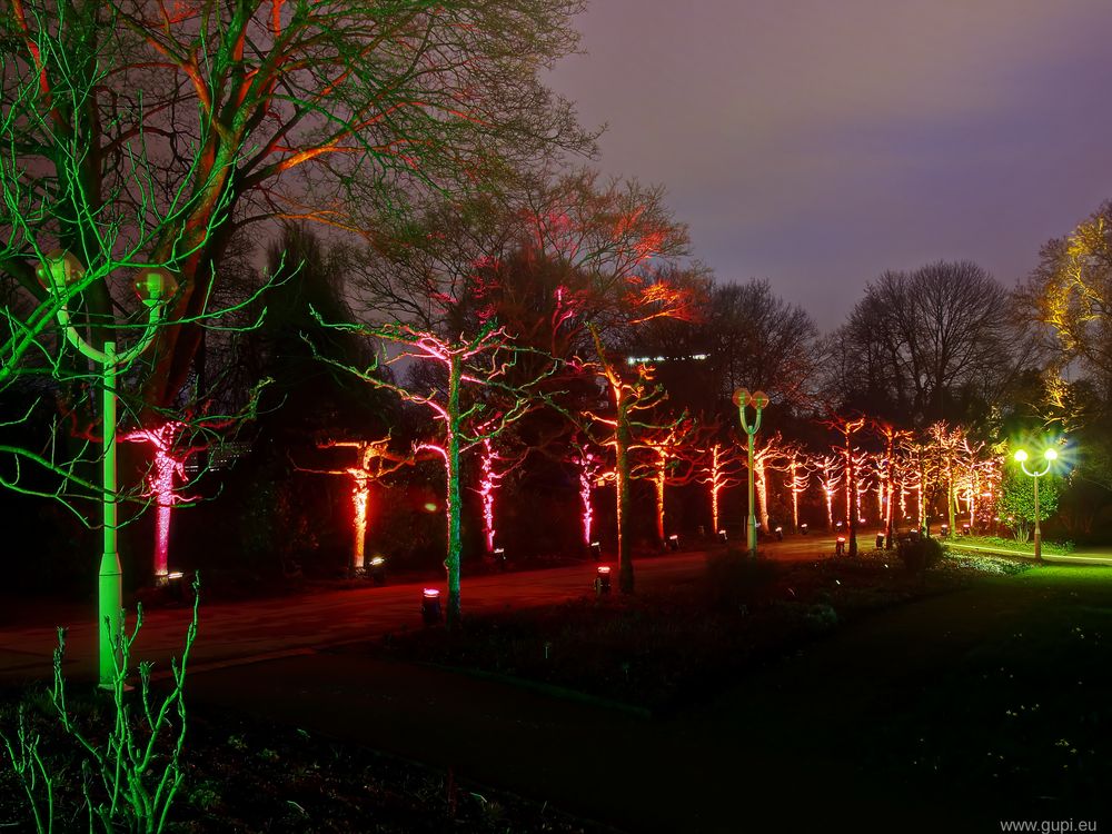 Parkleuchten VII - Bäume in Flammen