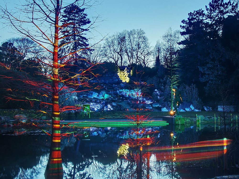 Parkleuchten XX - Bunter Baum im Teich