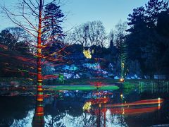 Parkleuchten XX - Bunter Baum im Teich