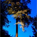 Parknächte Schloss Dyck - Im Zauber des Lichts (1) ...