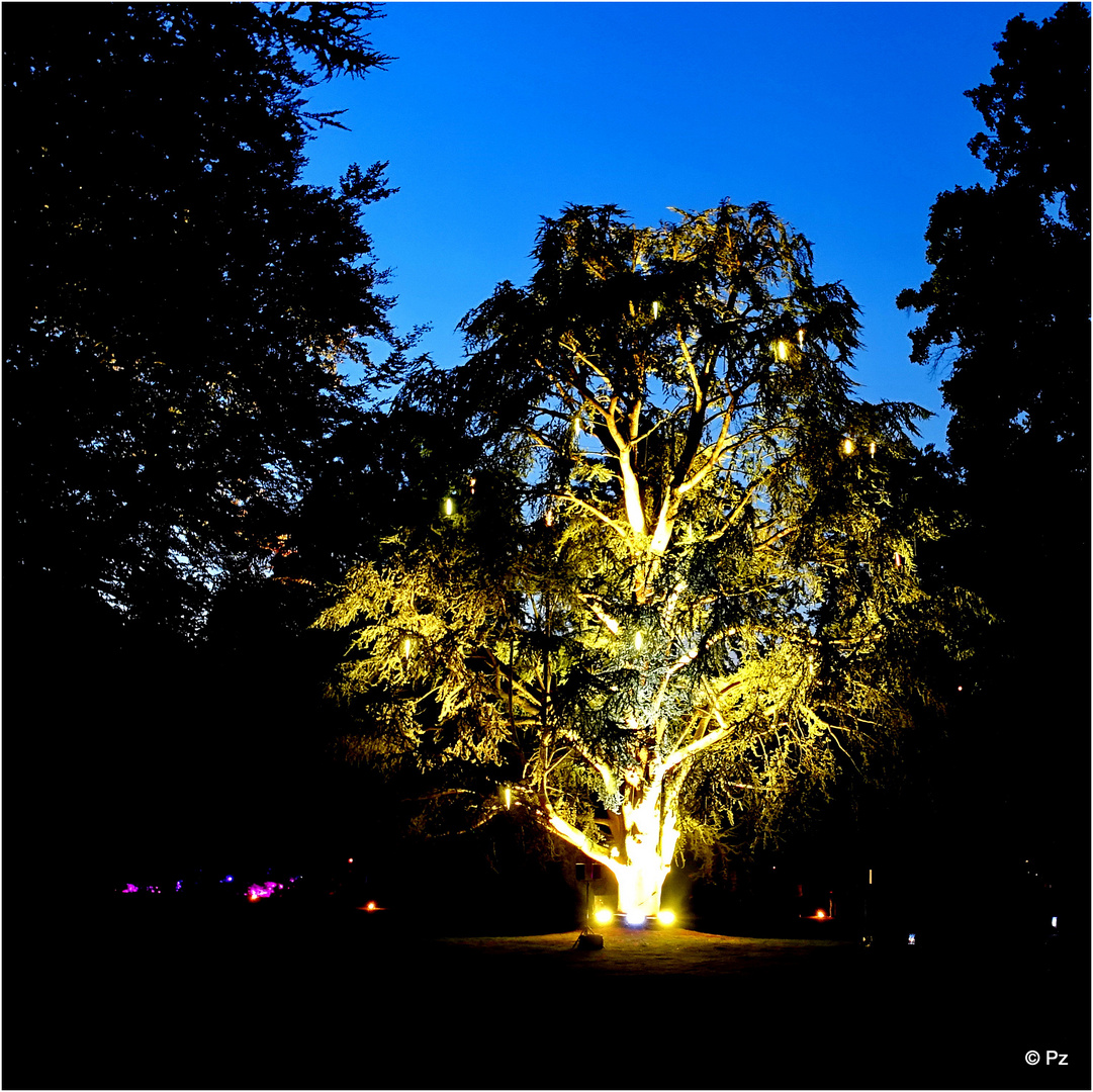 Parknächte Schloss Dyck - Im Zauber des Lichts (2) ... 