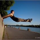 Parkour Vienna