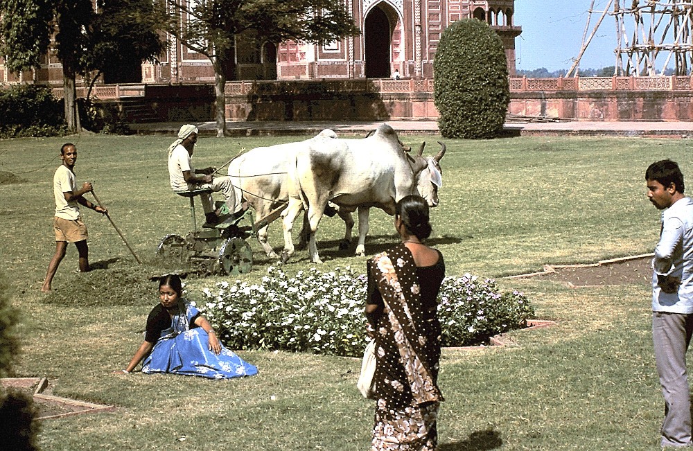 Parkpflege in Indien