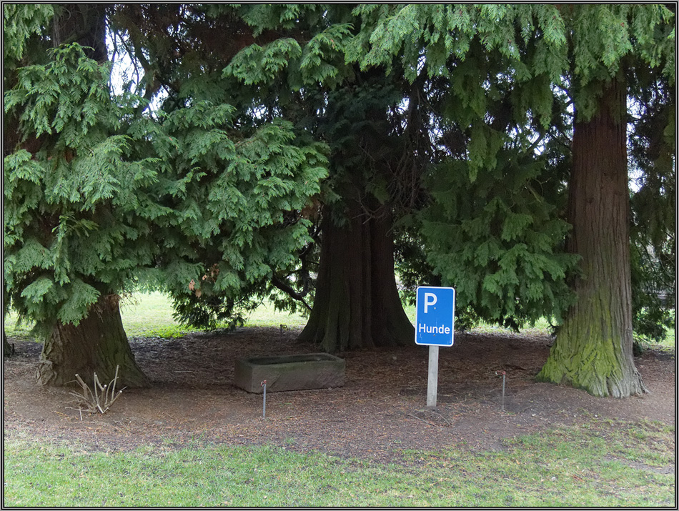 Parkplatz für Hunde