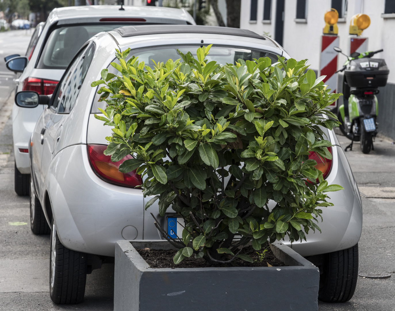 Parkplatz im Grünen