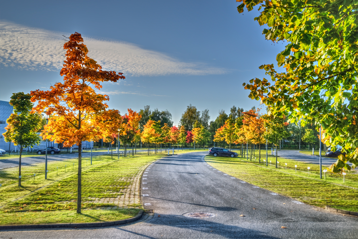 Parkplatz im Herbst
