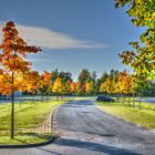 Parkplatz im Herbst