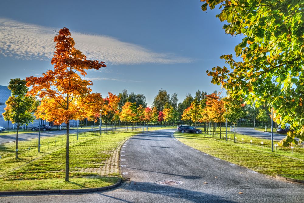 Parkplatz im Herbst