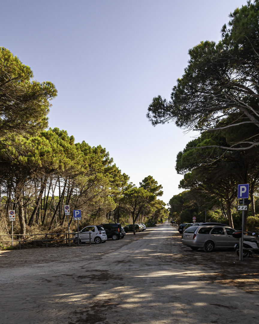 Parkplatz von Marina di Alberese