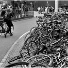 Parkplatzsuche in Amsterdam  - Fahrraddomino