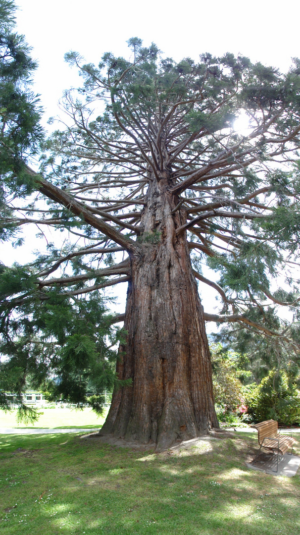 Parks in Neuseeland