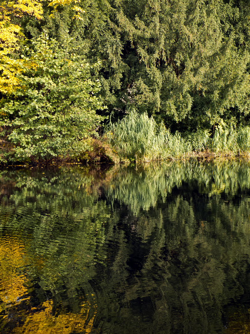 Parksee in Aschaffenburg