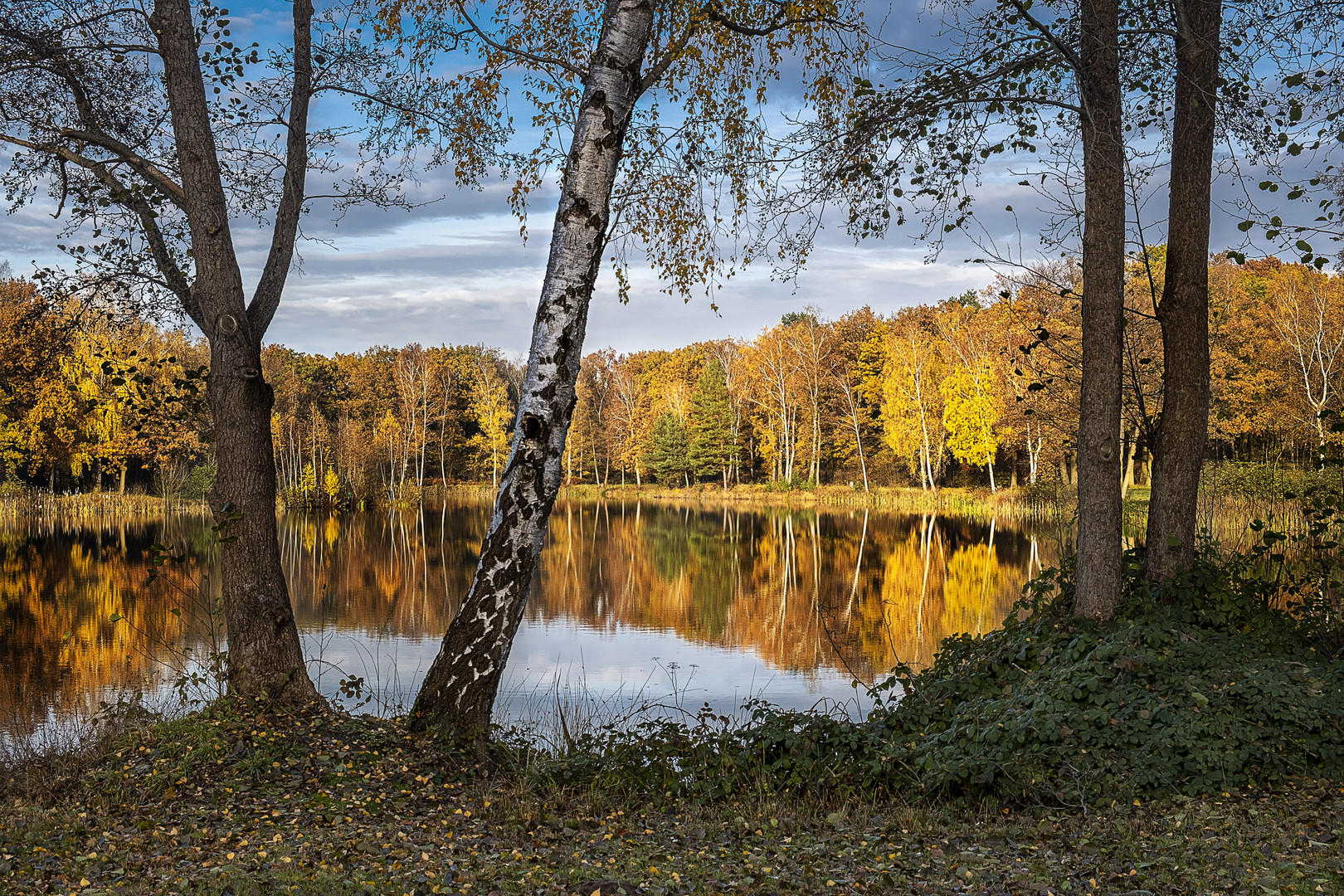 Parksee Lohne - Region Hannover