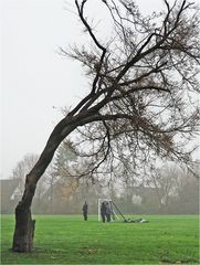 Parkstadion (1)