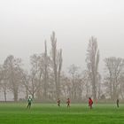 Parkstadion (2)