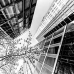 Parkstadt Schwabing 04