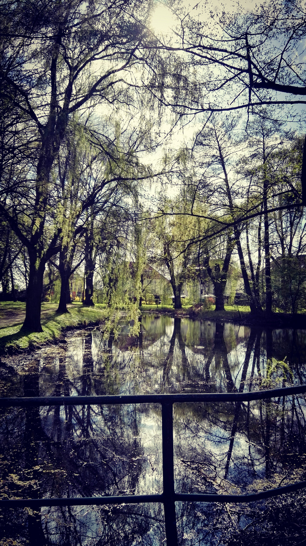  Parkteich 