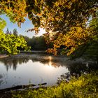 Parkteich in untergehender Sonne