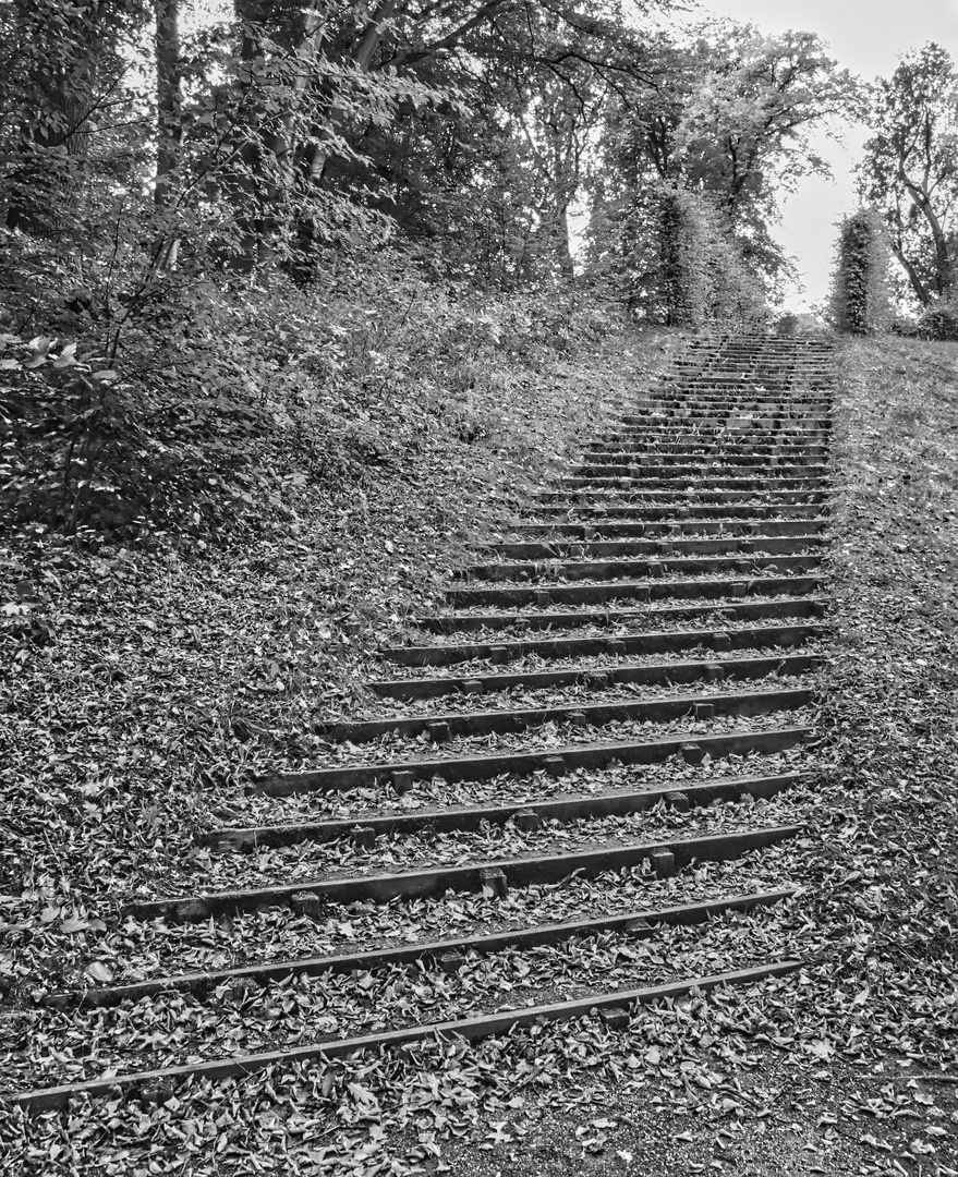 Parktreppe in Rheinsberg