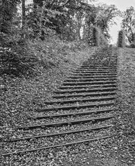 Parktreppe in Rheinsberg