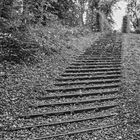 Parktreppe in Rheinsberg