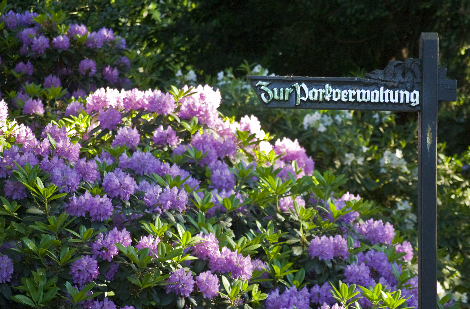 Parkverwaltung im Bürgerpark Bremen