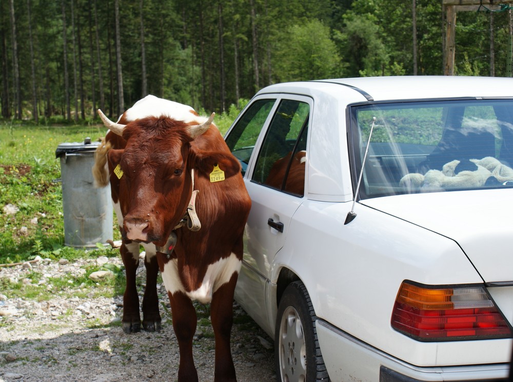 Parkwächter