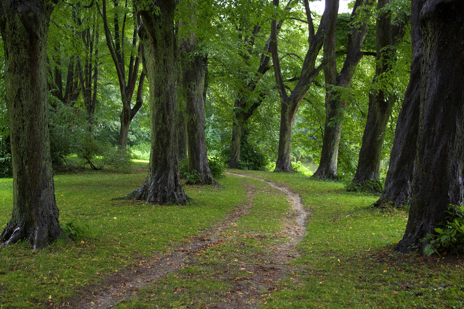 Parkweg