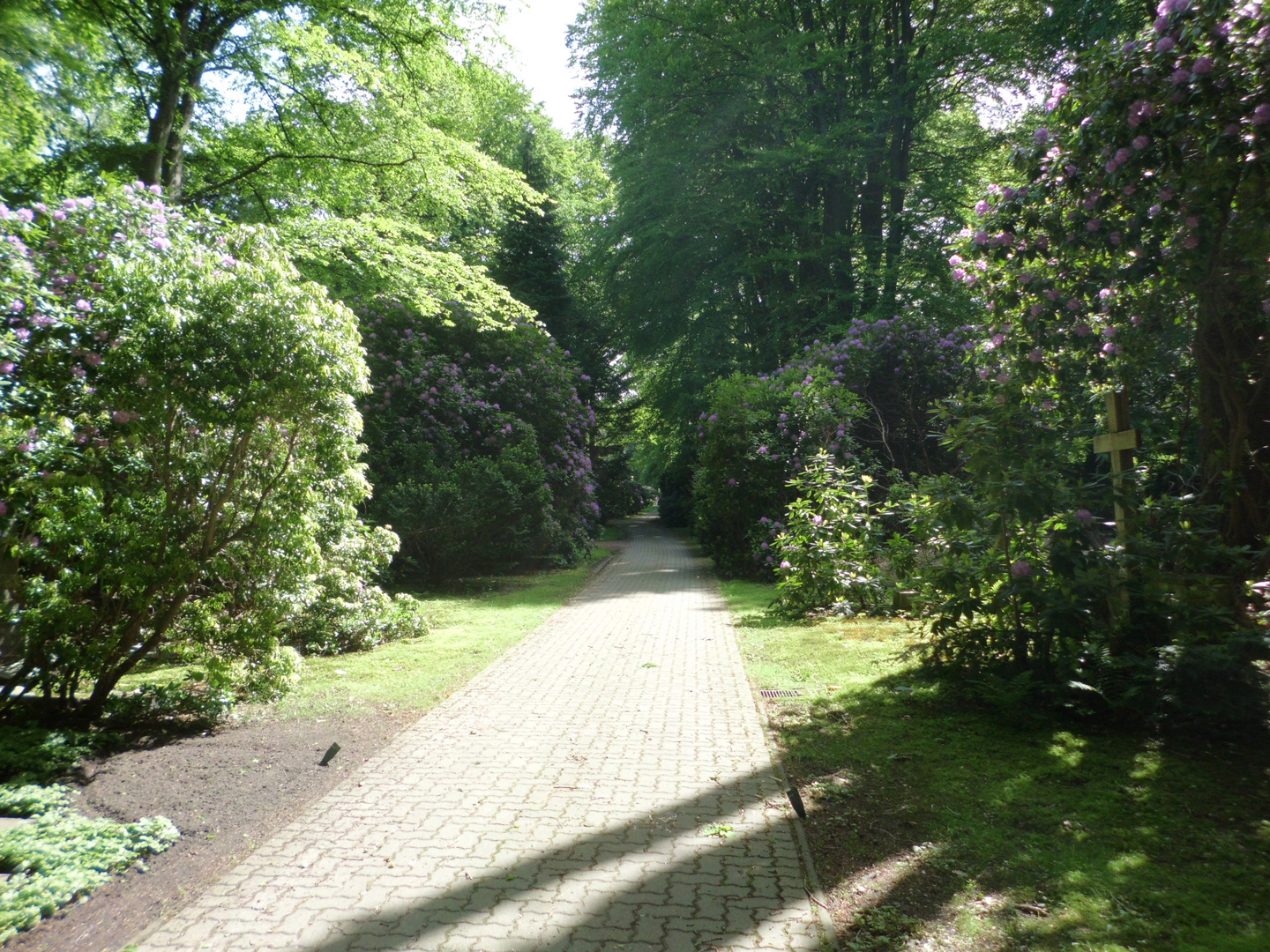 Parkweg