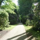 Parkweg