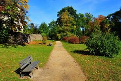 Parkweg im Herbst