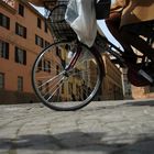 Parma in bicicletta